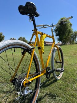 Diamondback “Chiquita” Ascent