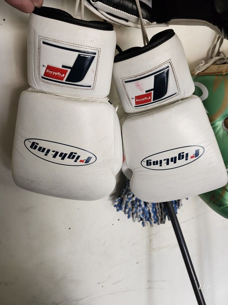 Fighting Sports Gloves