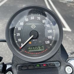 Harley-Davidson Iron (contact info removed)