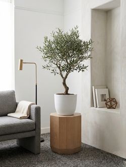 Concrete Planter