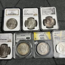 Morgan Silver Dollar - Graded Slabs