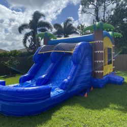 Palm Tree Castle With Waterslides