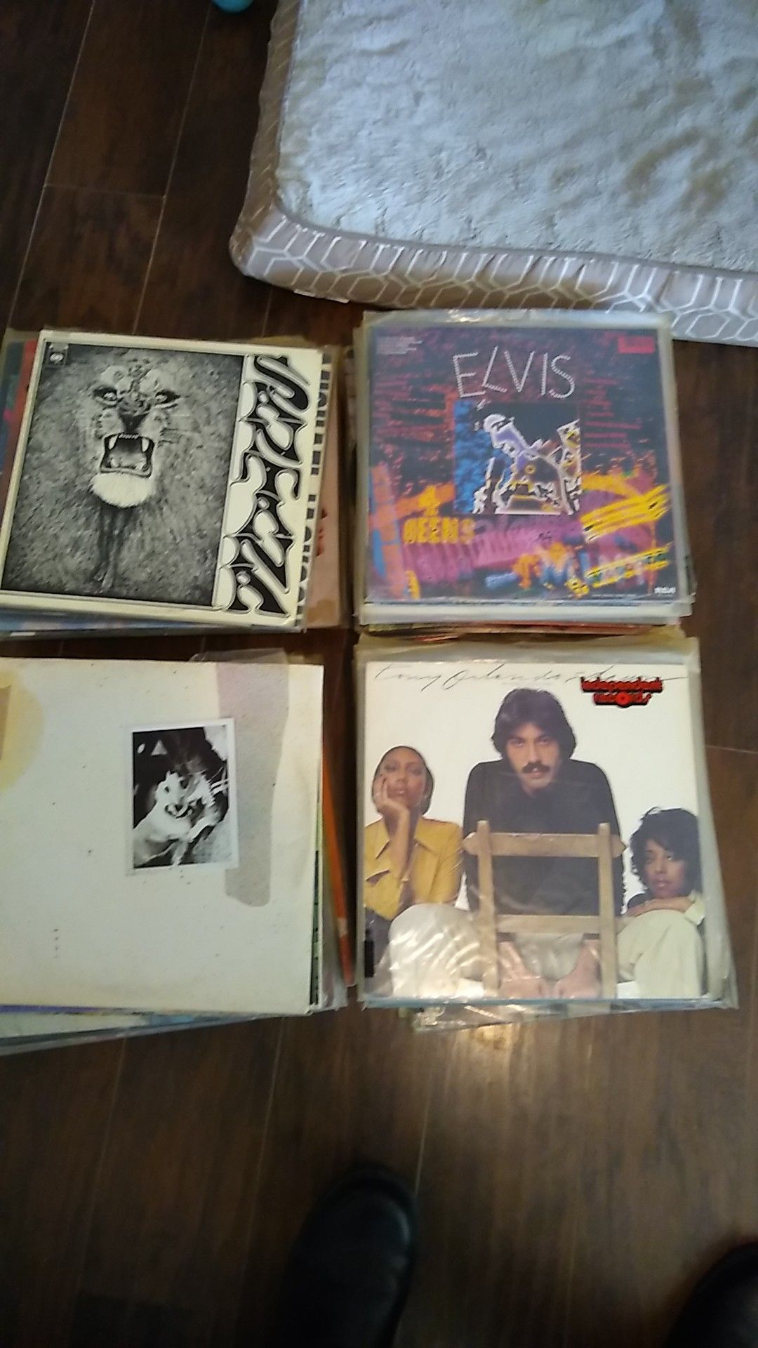 Record Album collection