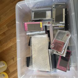 Assorted Lashes