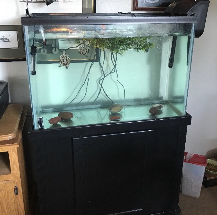 55 gallon Tall aquarium comes with filter and stand