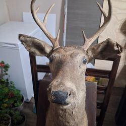 Decoracion De Pared  $70