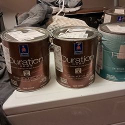 Sherwin Williams Duration Interior Semi Gloss White Sesame Paint 