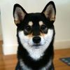 Jon