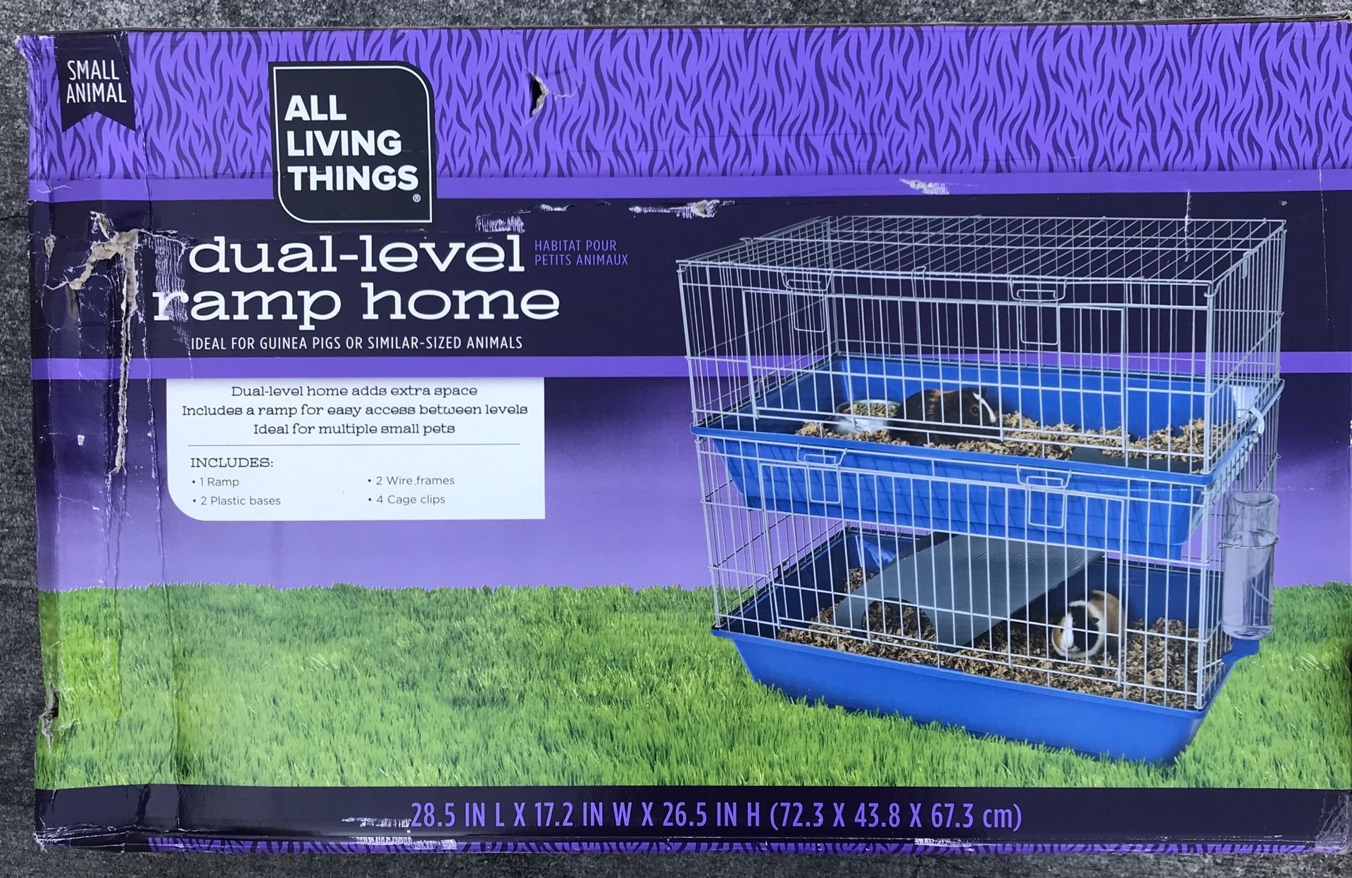 All Living Things Dual Level Ramp Home