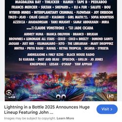 Lightening In A Bottle Wristband Needed