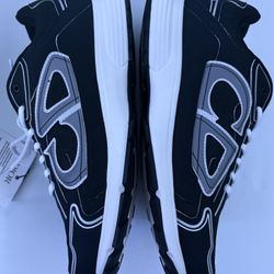 Dior B30