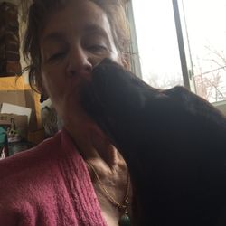 New Floral Dog Raincoat Medium Size