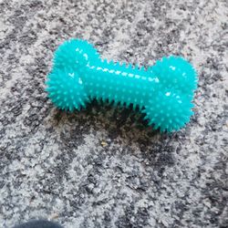 Squeaky dog toy.