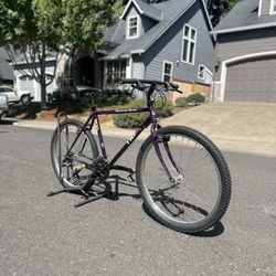 Trek Mountain Bike