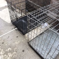 3 Dog Cages
