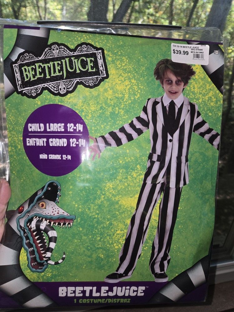 Kids Beetlejuice Halloween Costume, Size L