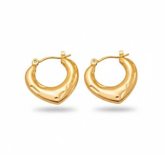 Earning Gold Plated Stainless Steel