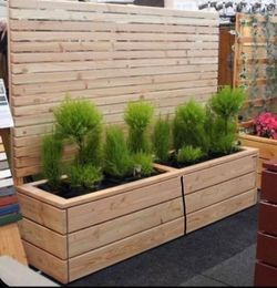 Custom Beautiful privacy wall Frame Planter Box Garden Bed cedar redwood Mother’s Day Best Gift