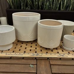 Plant Pots