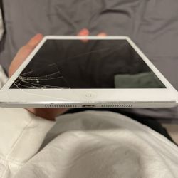 iPad Mini