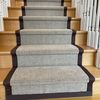 The Carpet Guy  Professional 