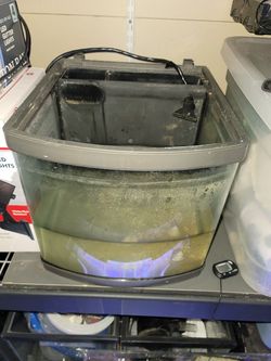 10g AIO all in one tank