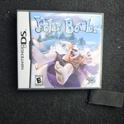 Nintendo Ds Game