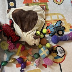 Dog Toys 