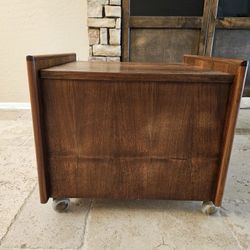 Mid-Century Modern Walnut Record Storage Cabinet on Casters
