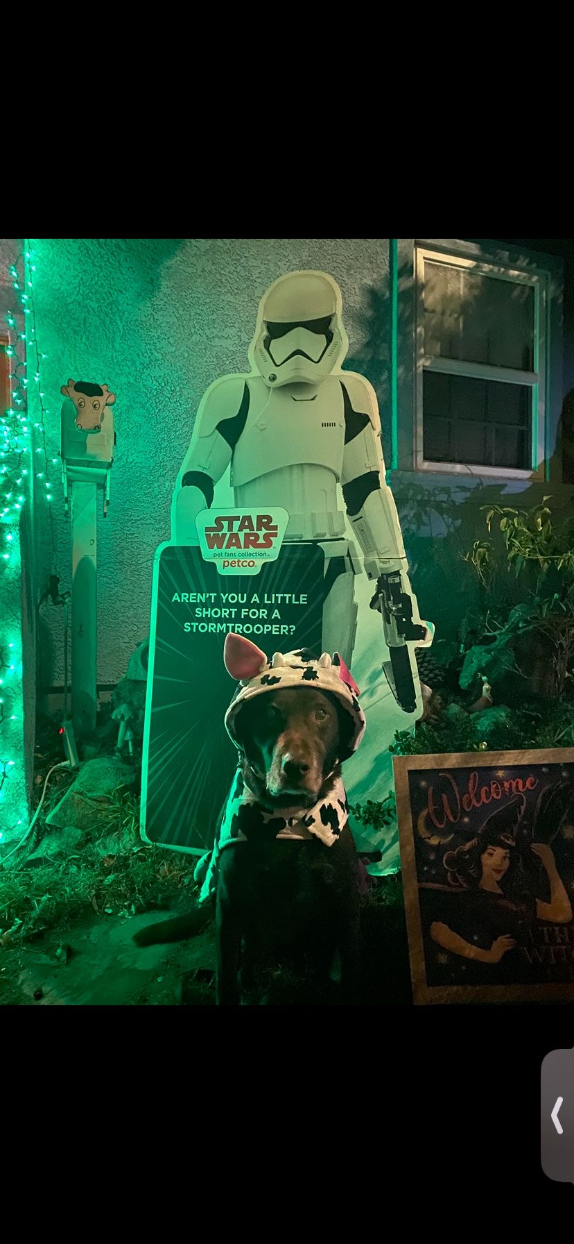 Storm Trooper Cardboard Cutout