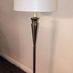 5 Ft Stainless Steel Floor Lamp 