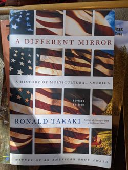 a different mirror book