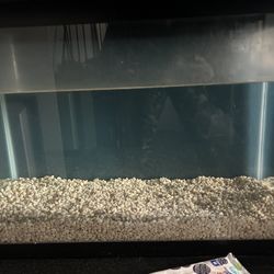 30 Gallon Tall Fish Tank