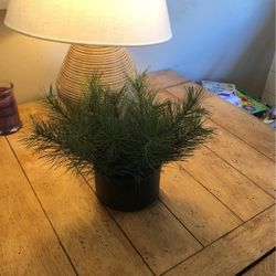 Faux Pine Greenery In Modern Planter 