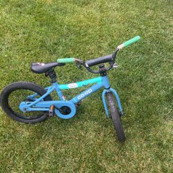 Kid’s REI 16” Bike