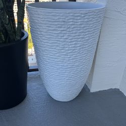 White & purple planters