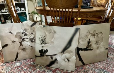 3x Floral Canvas Artwork - Wall Decor - Wall Hanging