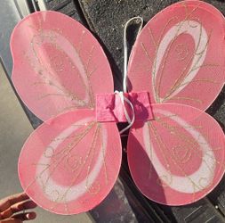 Pink Butterfly Wing