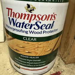 Thompsons Water seal