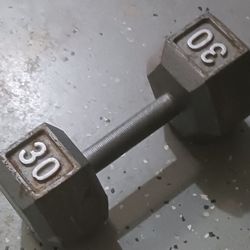 Dumbbell 30lbs