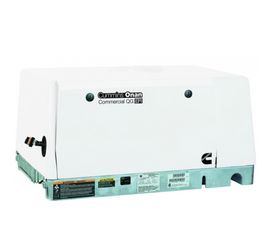 Onan HGJAD-2139M EFI gas generator