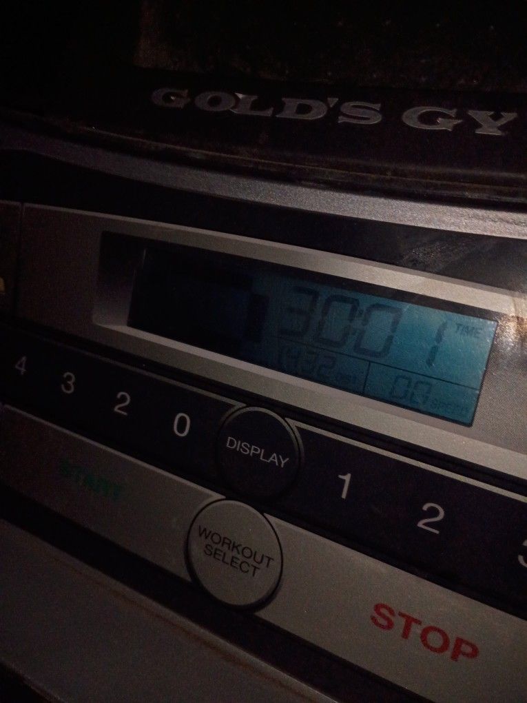 Goldsgym Treadmill
