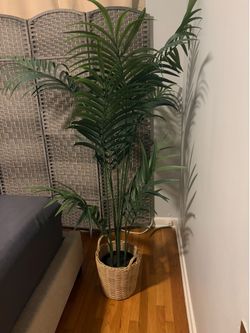 2 IKEA Artificial Plants (including plant pots and stand)