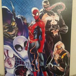 Spider-Man And Villains Canvas