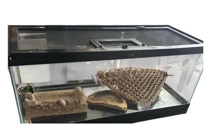 Reptile Enclosure
