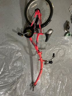 Co-pilot Trailer Bike