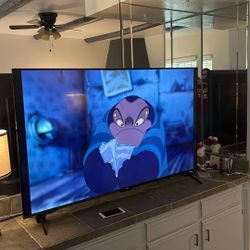 65” TV 