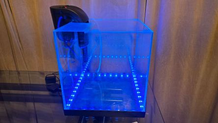 6 gallon rimless led lit aquarium with pump