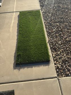 Artificial Turf