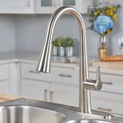 Bryton Stainless Steel Kitchen Faucet with Sprayer